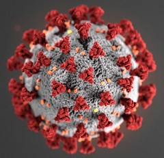 photo of COVID19 virus
